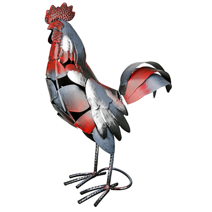 Coq Otto (51866)