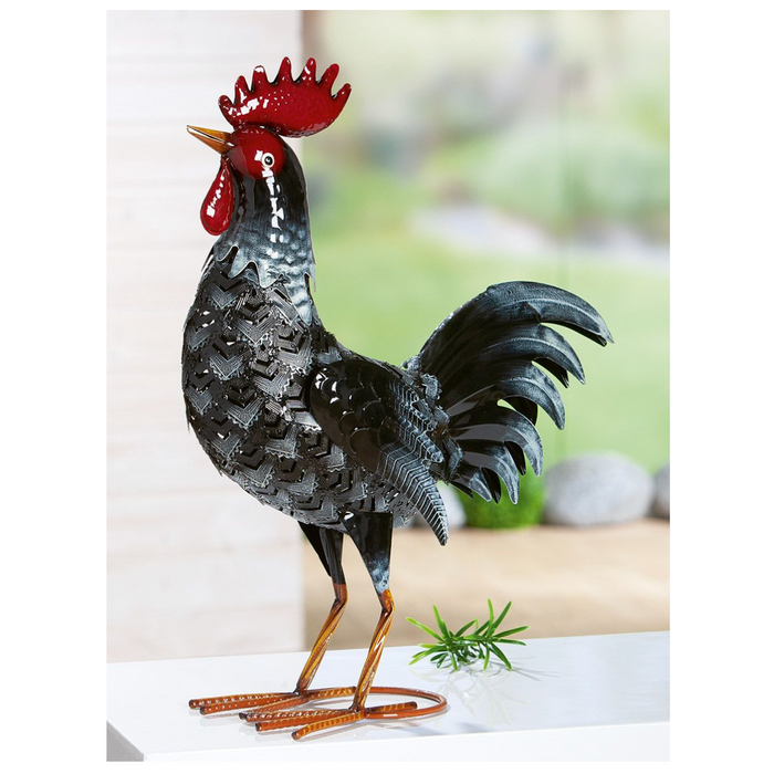 Coq Hahn (69572)