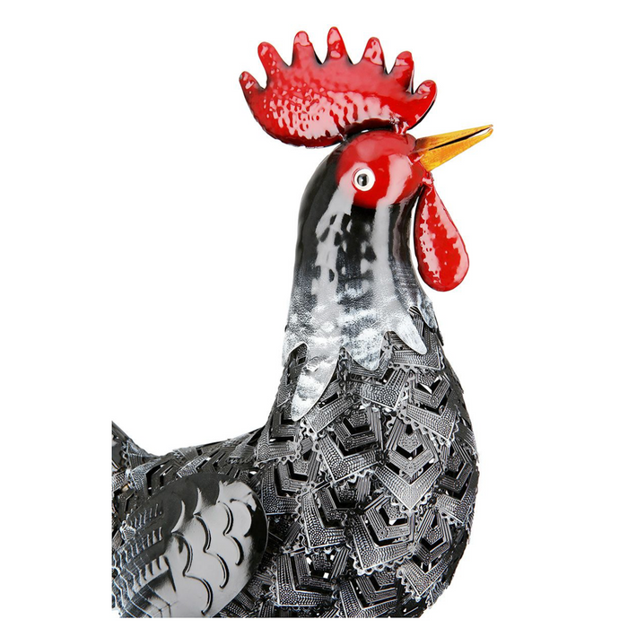Coq Hahn (69572)