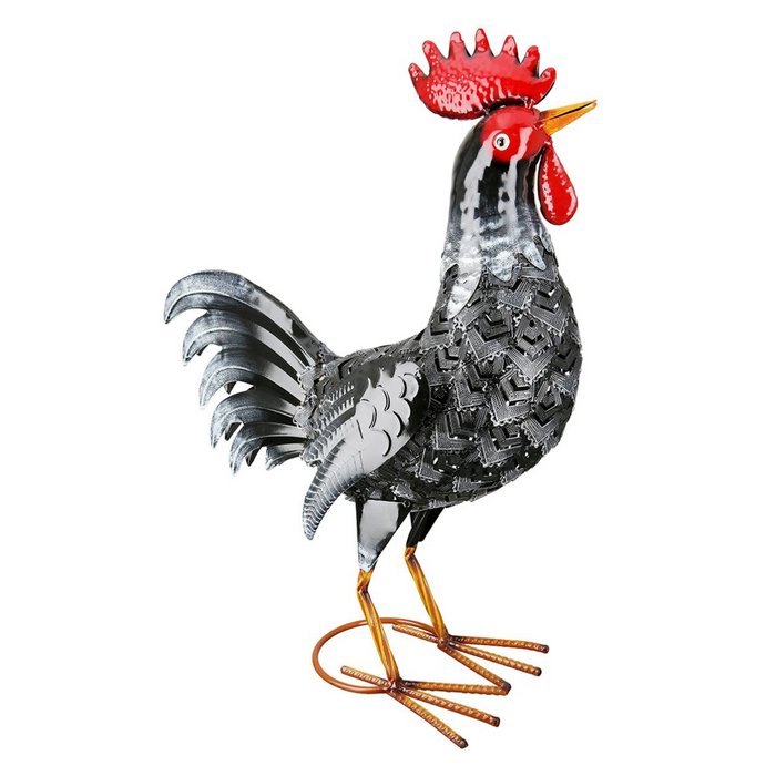 Coq Hahn (69572)