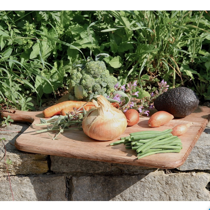 Planche Edelweiss